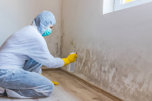 Licensed Commercial Mold Remediation service in Pleasant Hall, PA - WQB Mold Removal