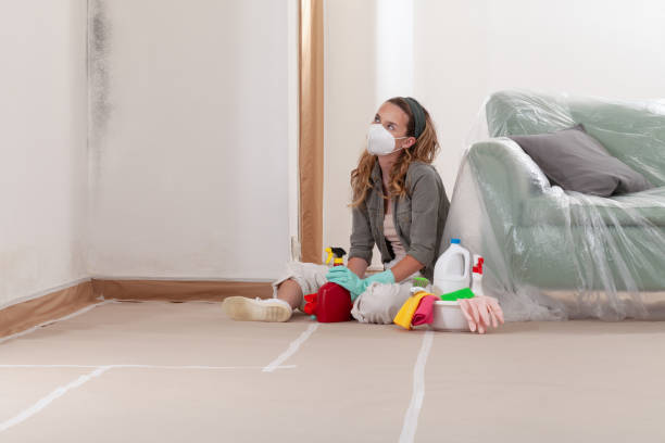 Reliable Commercial Mold Remediation contractor in Pleasant Hall, PA by WQB Mold Removal