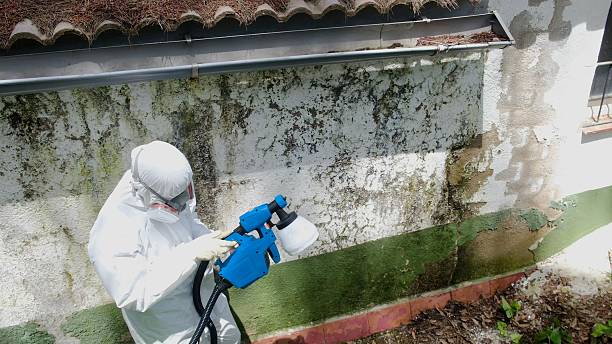 Top rated local Commercial Mold Remediation specialists in Pleasant Hall, PA